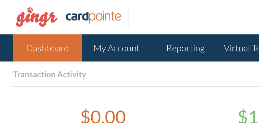 Dashboard with transaction activity display.