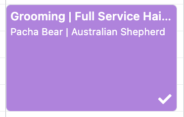 Full Service Haircut for Australian Shepherd