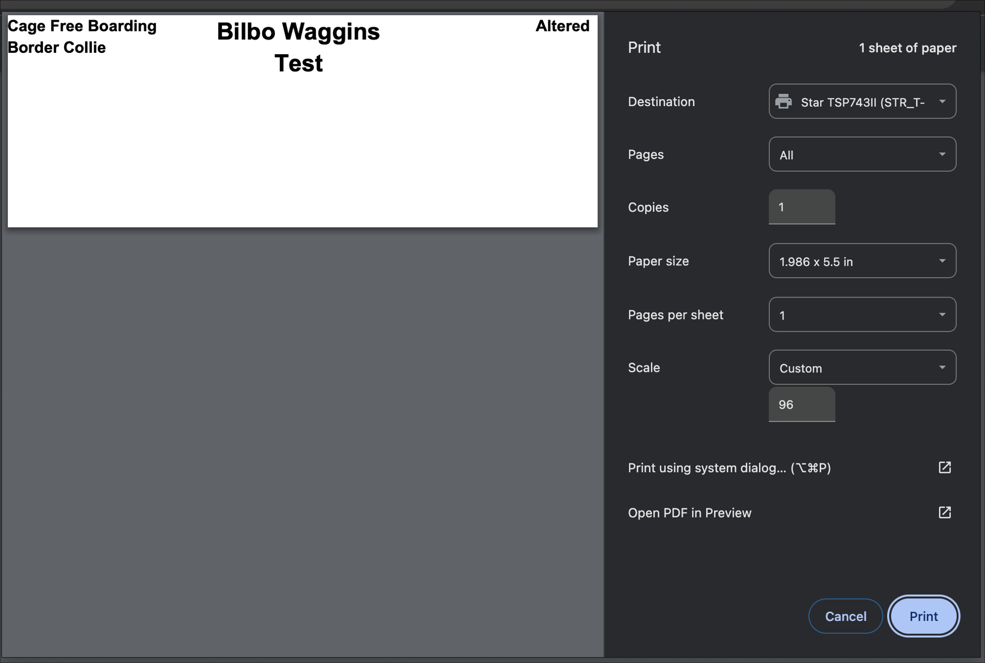 Print settings screen with label preview.