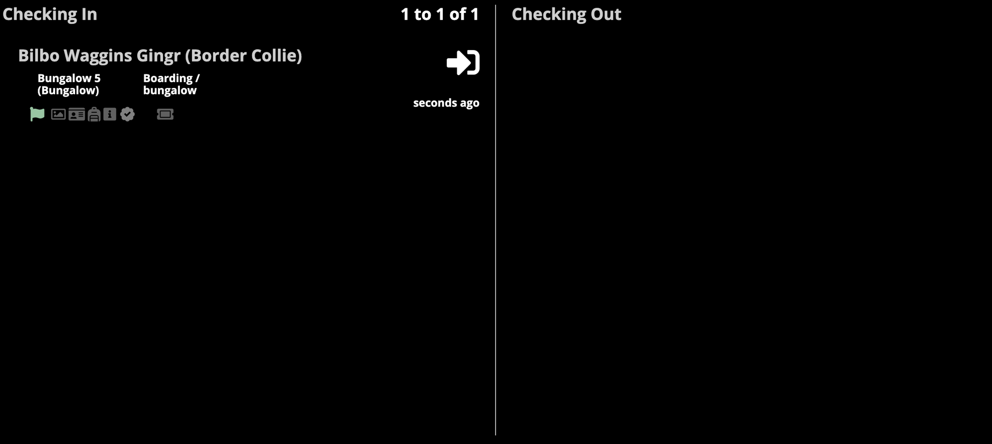 Dog check-in details on screen