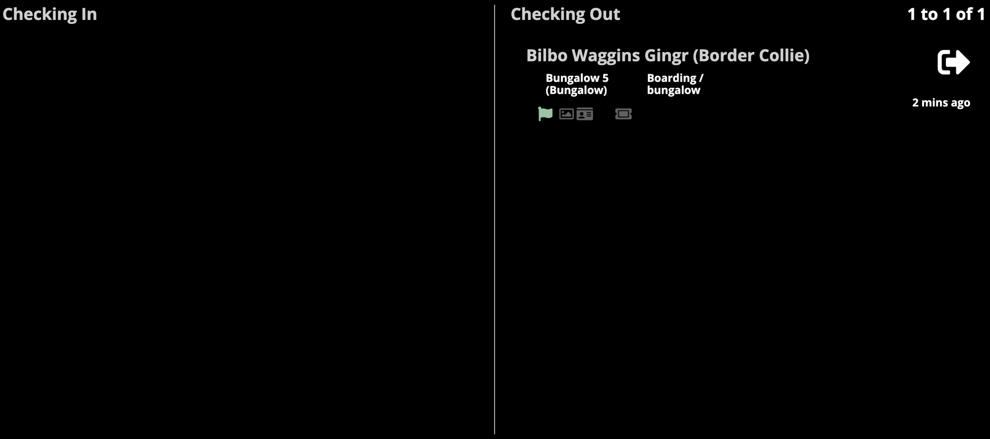 Checking out: Bilbo Waggins, Border Collie