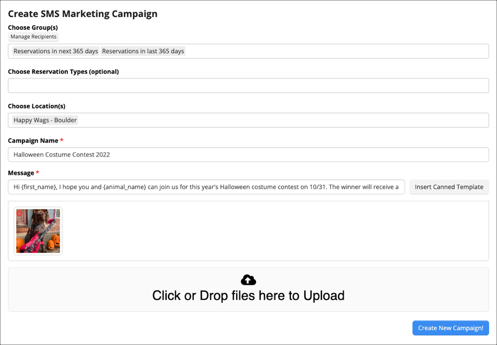 SMS marketing campaign creation form