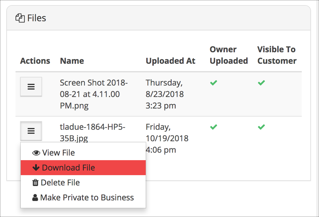 File management interface with download option.
