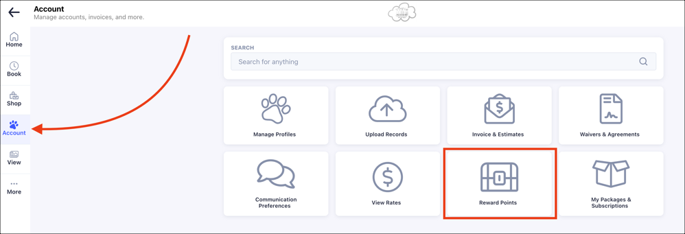 Account management dashboard interface.