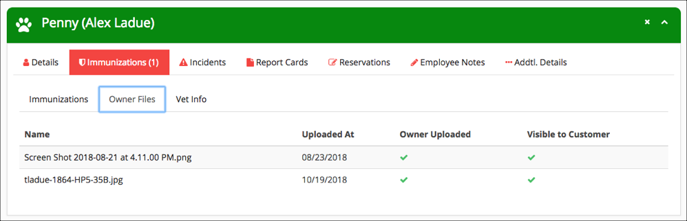 Owner files list with upload details.