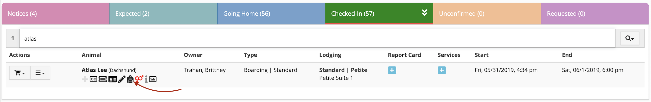 Pet boarding details for Atlas the Dachshund.