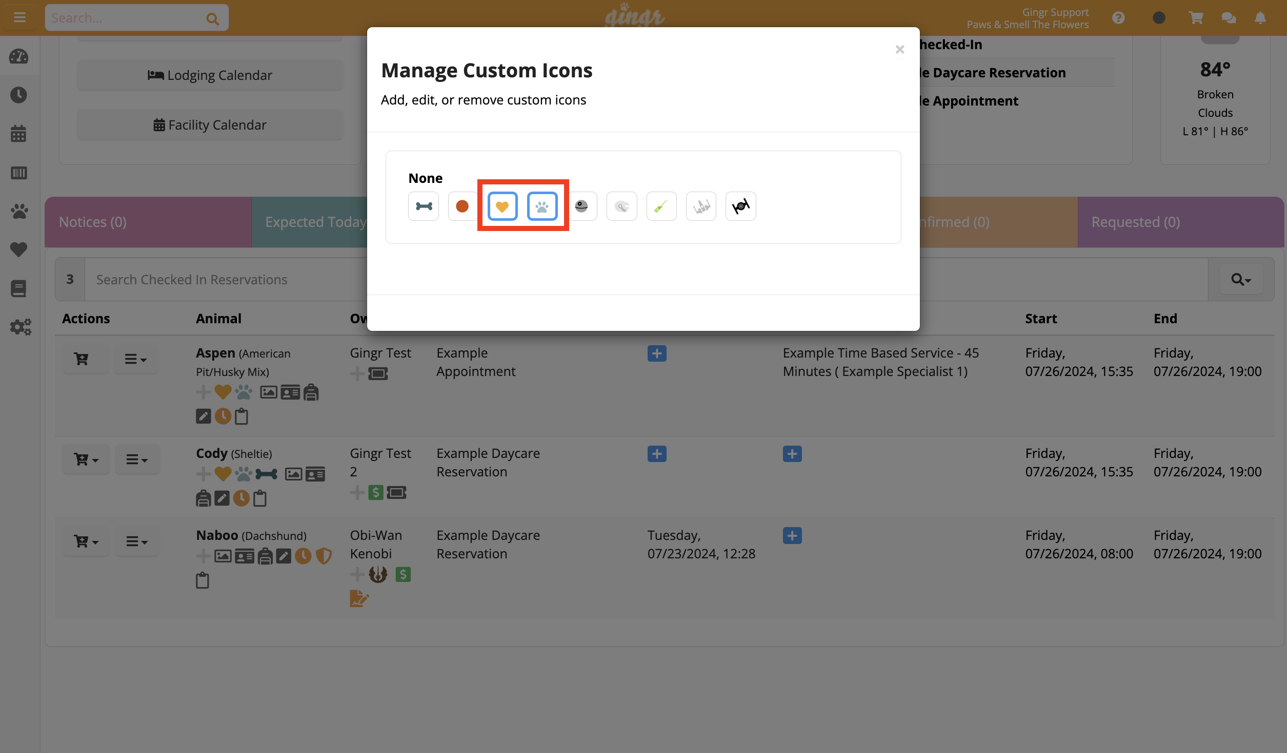 Manage Custom Icons" window with icons.