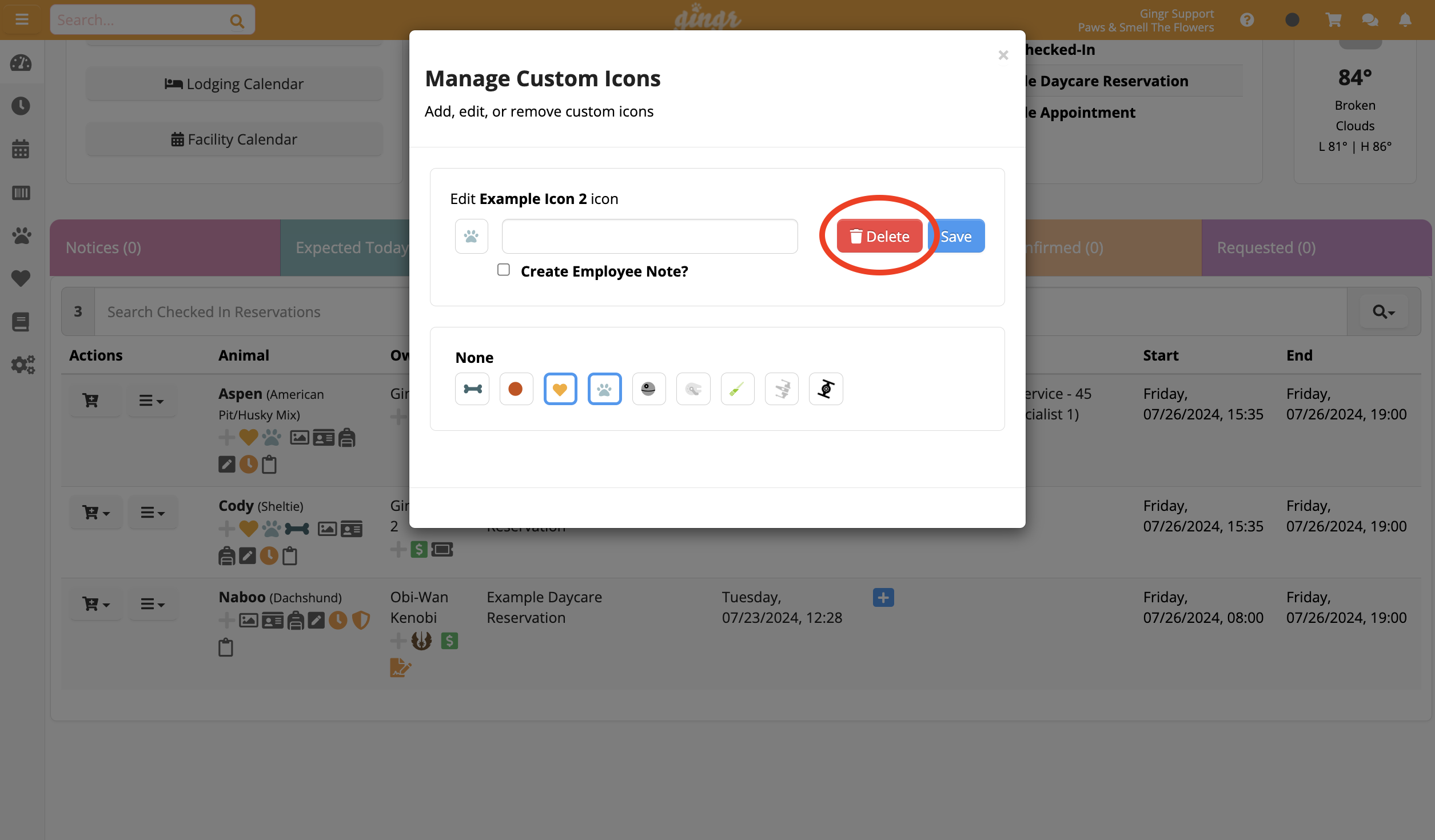 Manage Custom Icons" popup window.