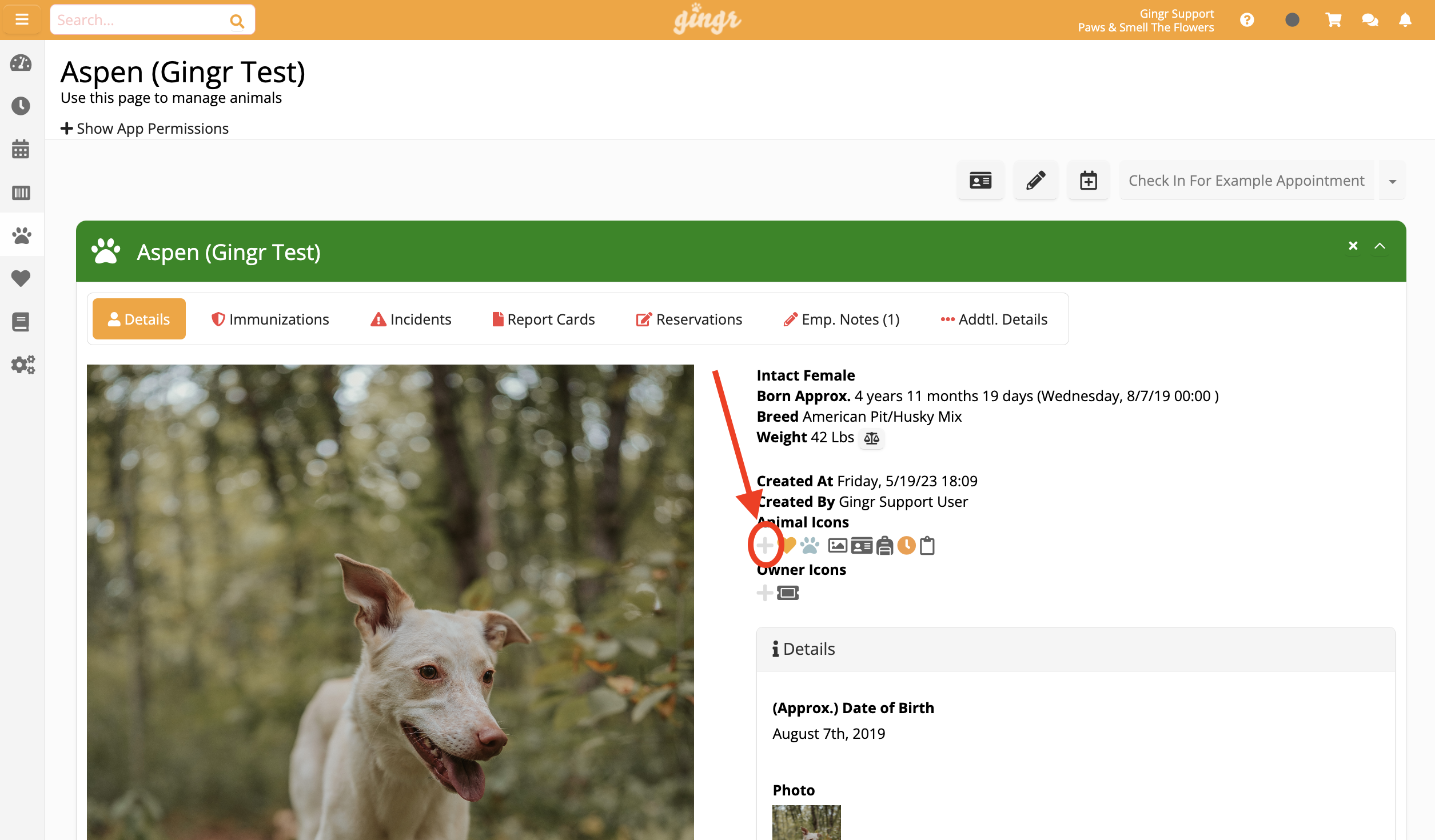 Dog profile page with details and photo.