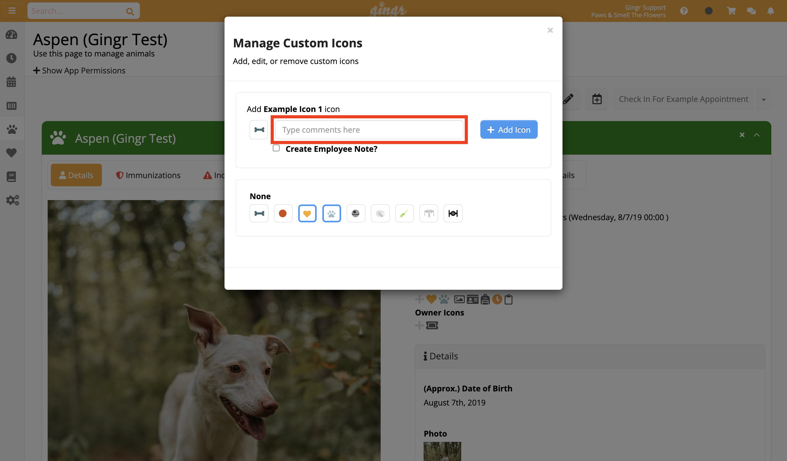 Manage Custom Icons" window in app interface.