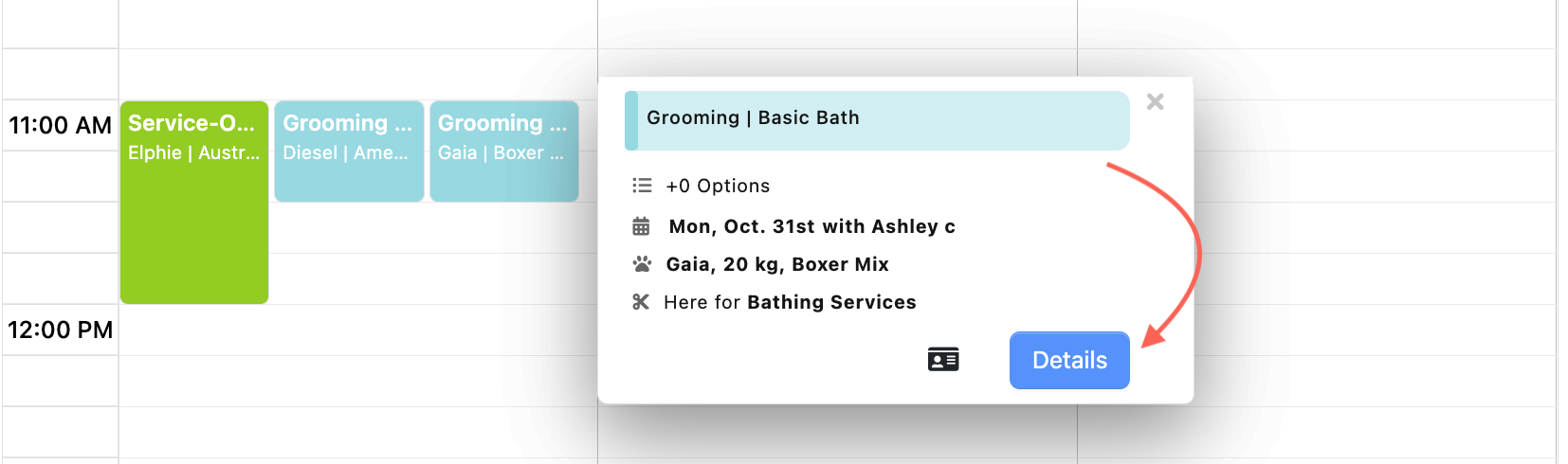 Calendar event details for pet grooming.