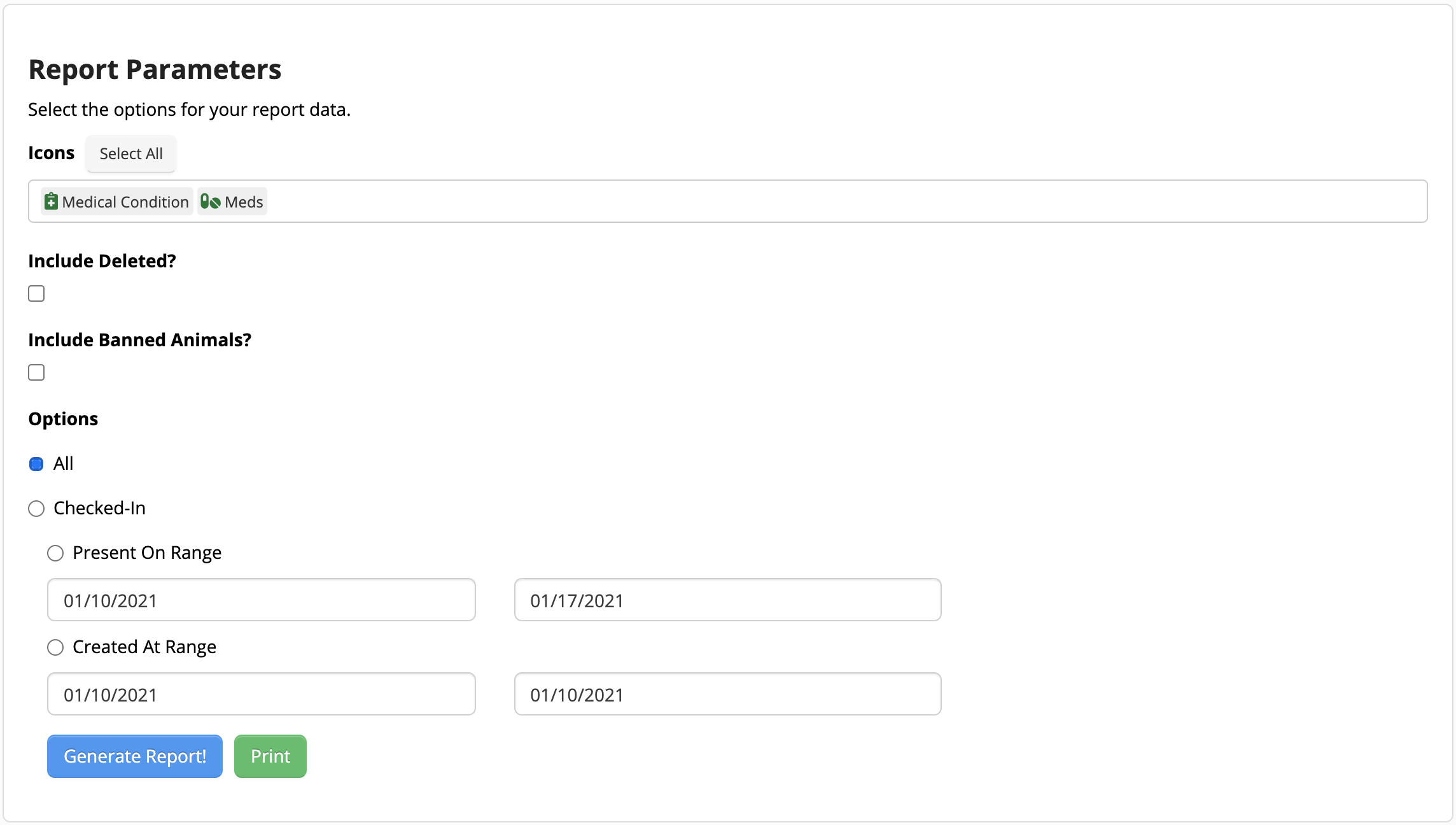 Report parameters selection form