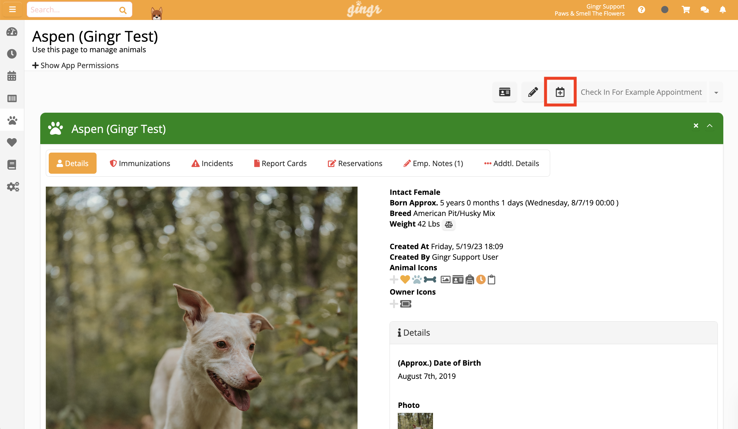 Dog profile page with details and photo.