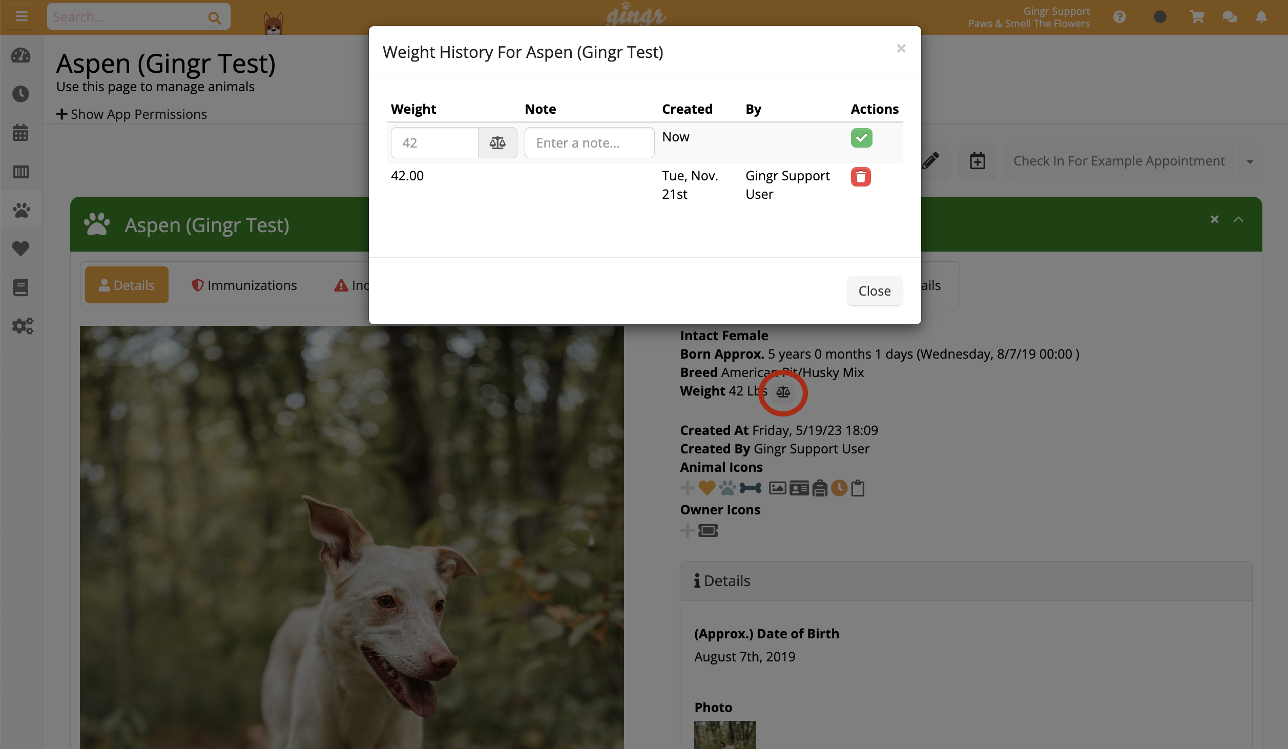 Dog weight history interface screenshot