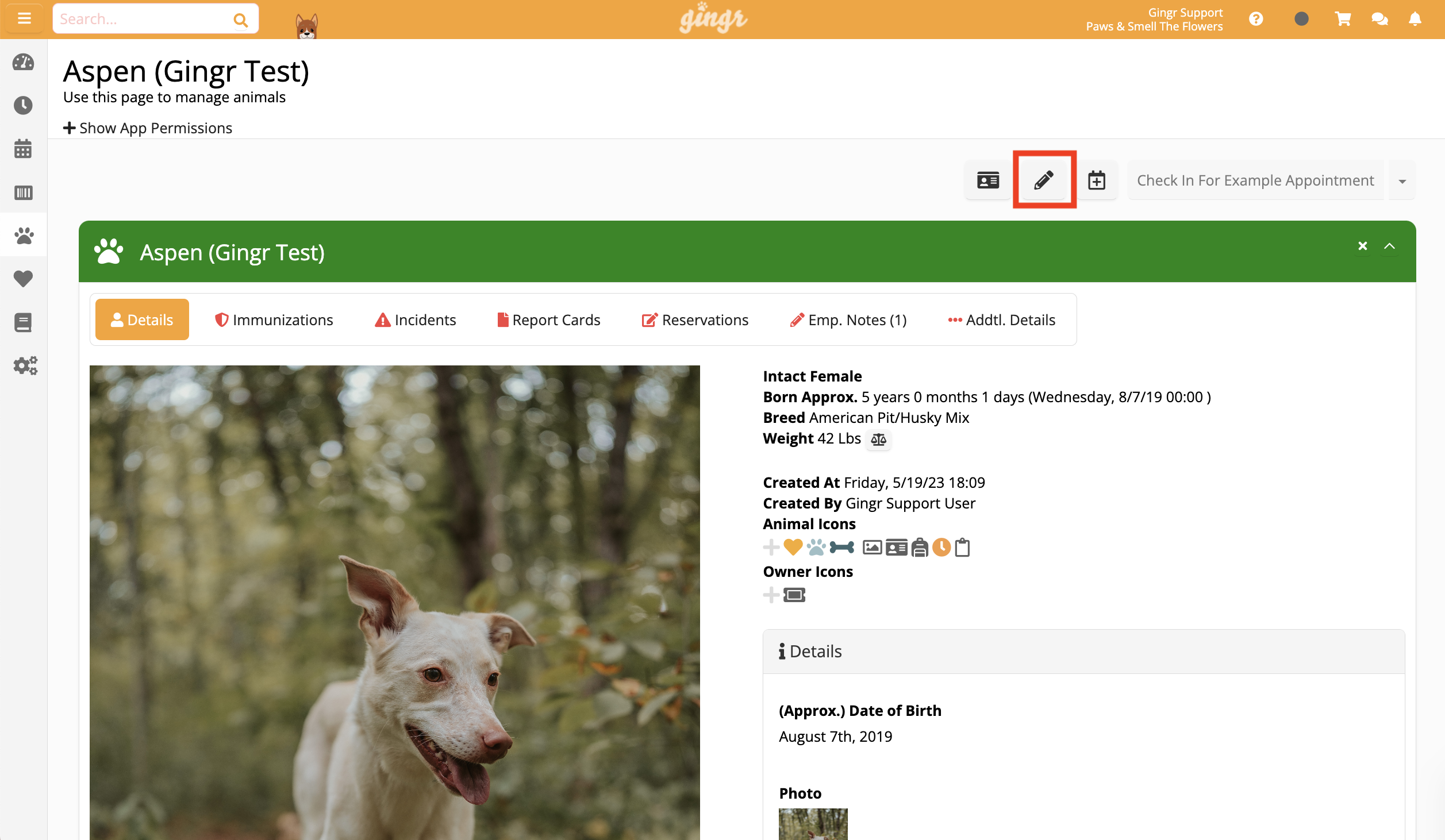 Dog profile page with details and photo.