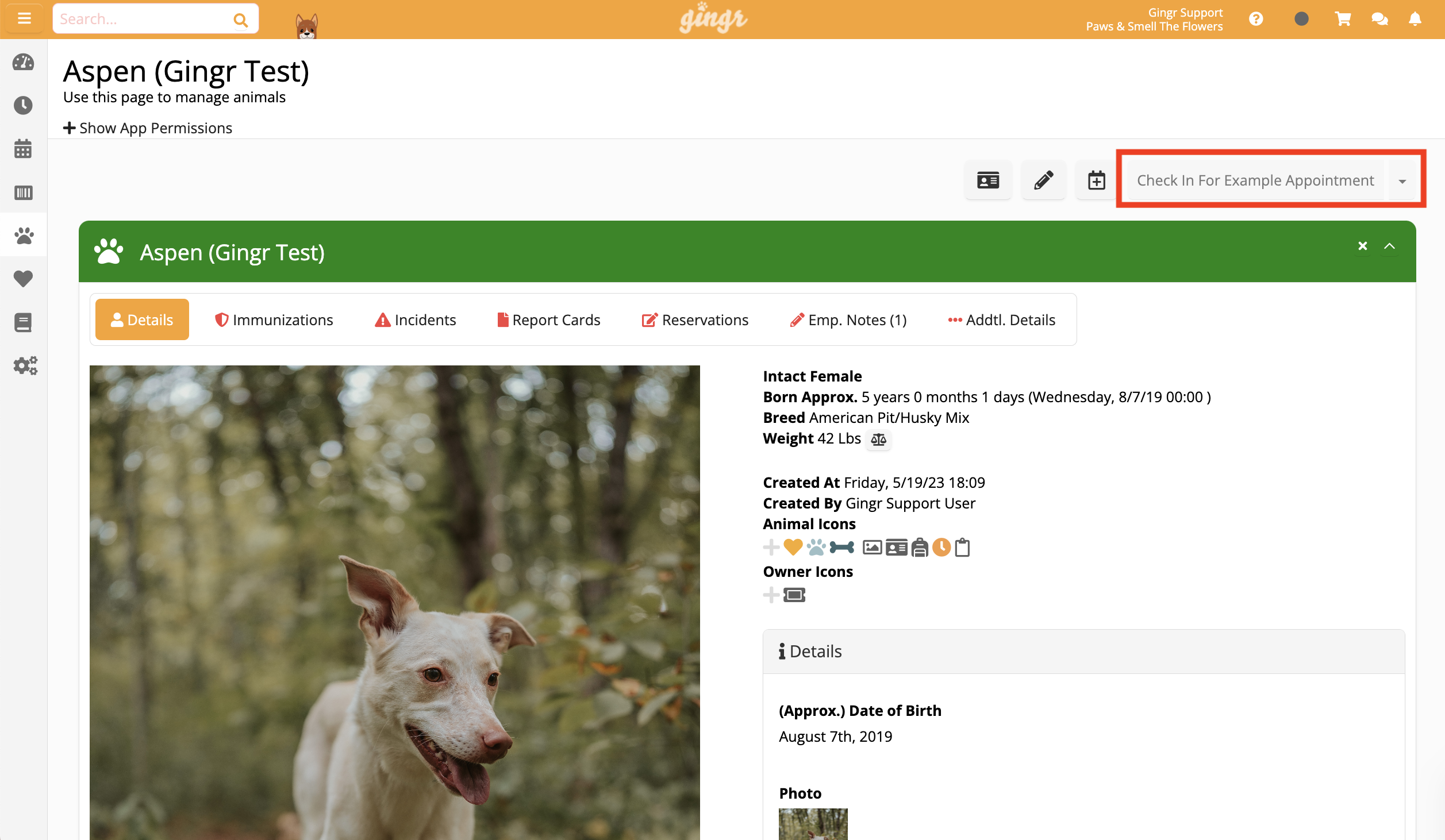 Dog profile page with details and photo.
