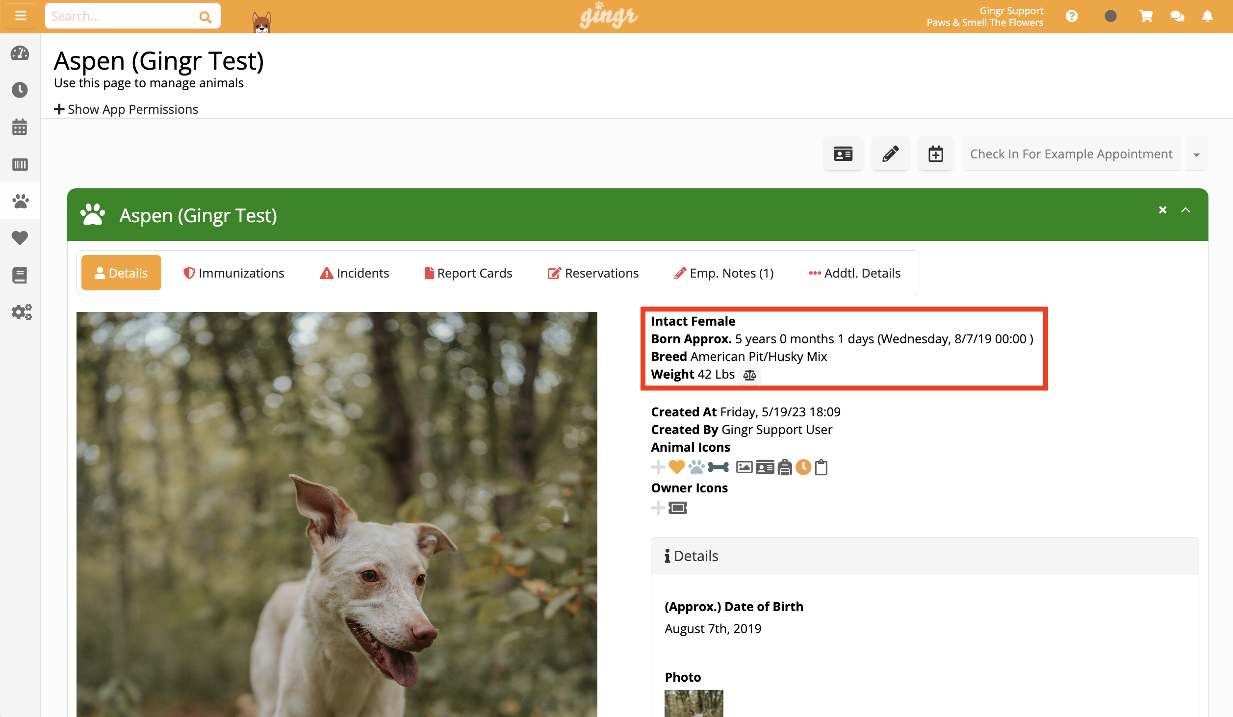 Dog profile with details and photo.