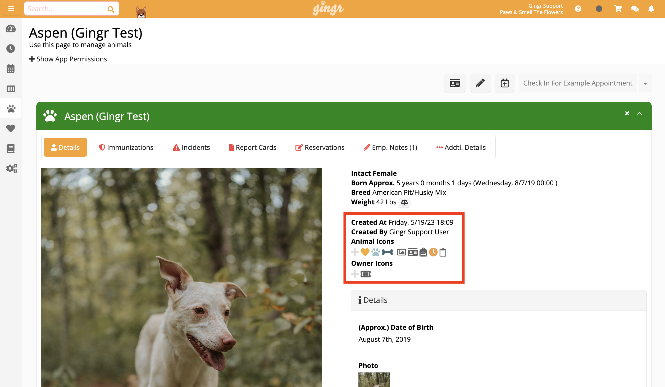 Dog profile page with details and photo.