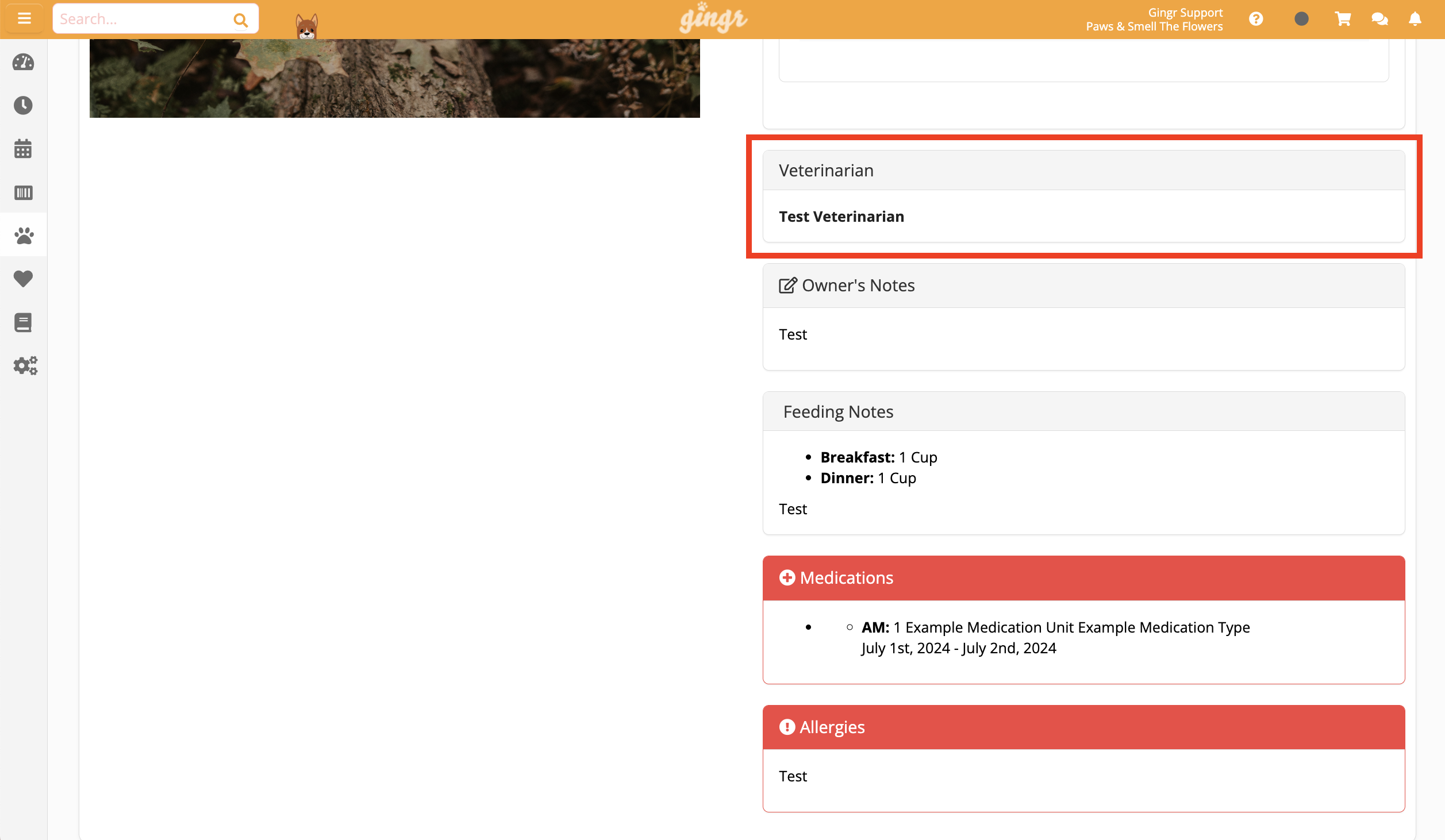 Veterinarian and pet care notes interface
