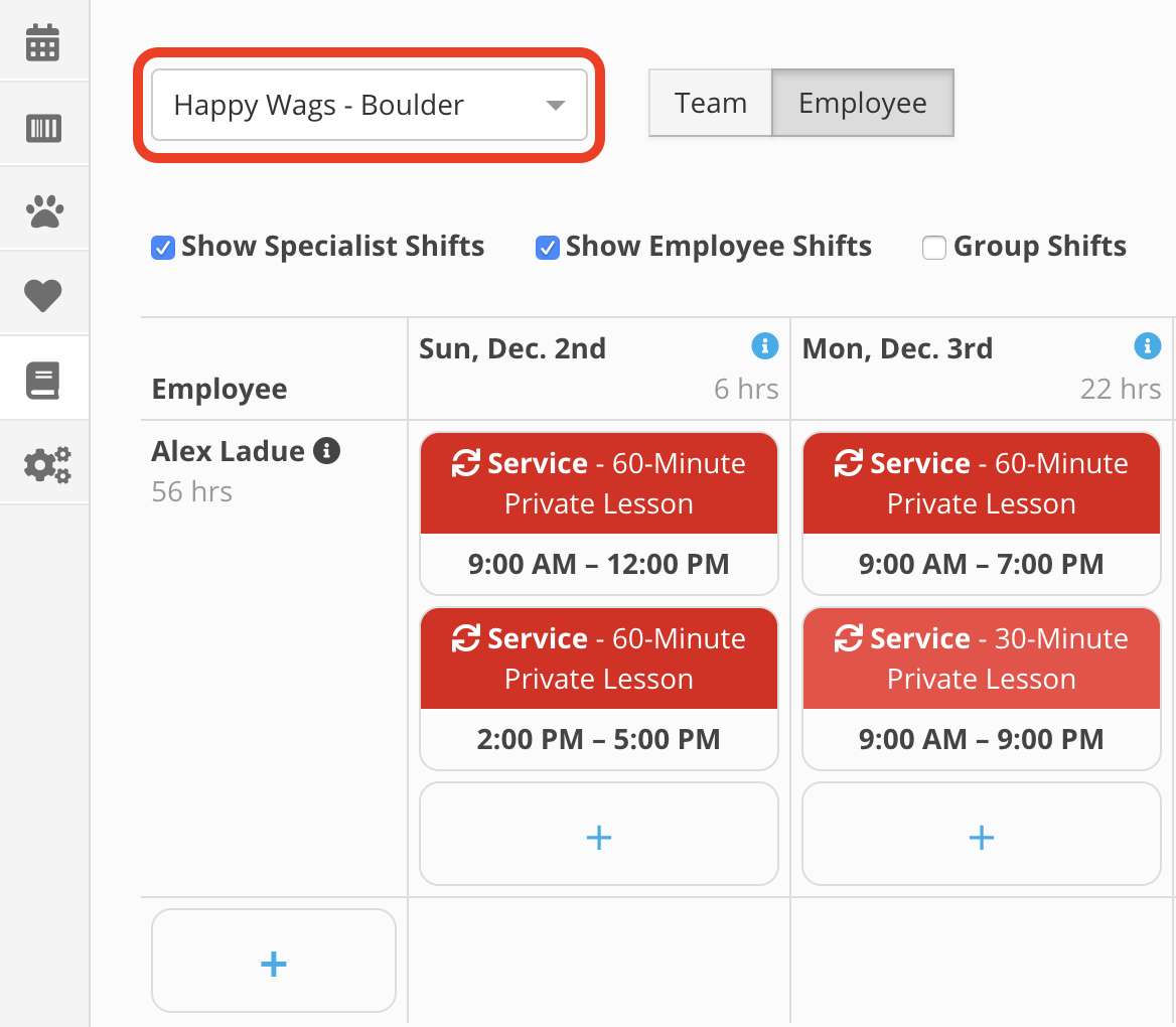 Employee schedule with private lessons