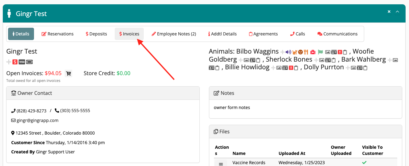 Dashboard with invoices tab highlighted