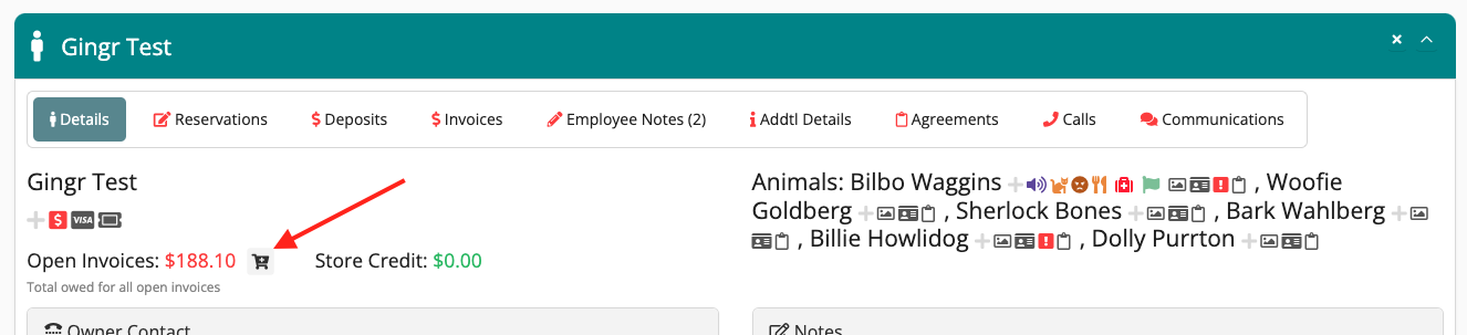 Dashboard showing open invoices and store credit.