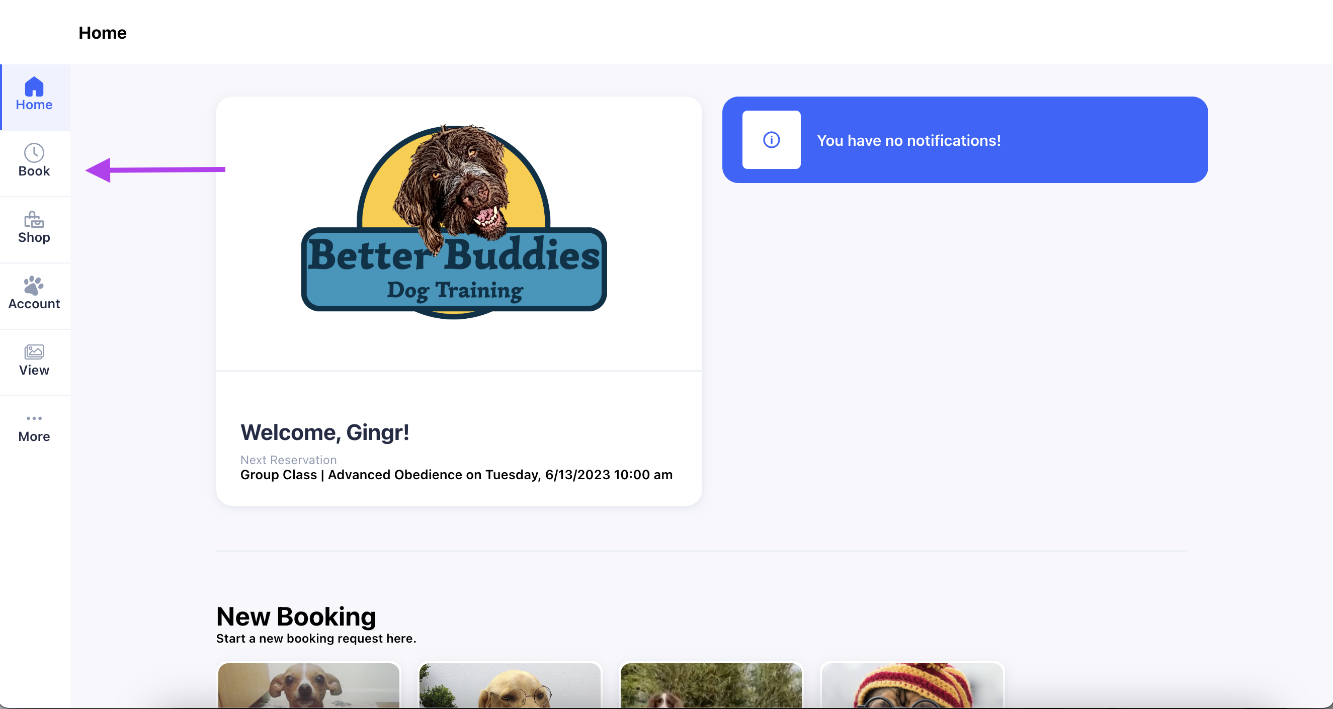 Dog training app dashboard screen