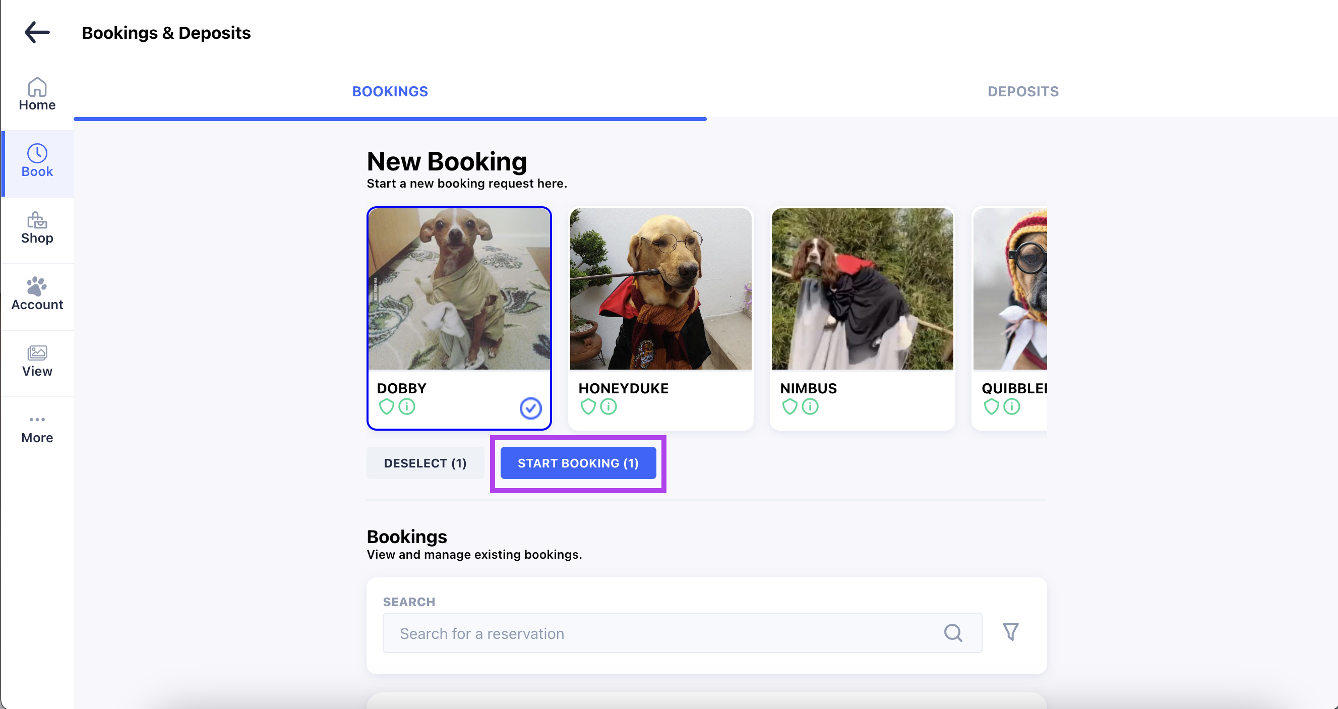 Dogs in costumes for booking selection.