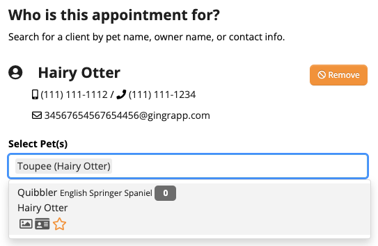 Pet appointment selection interface