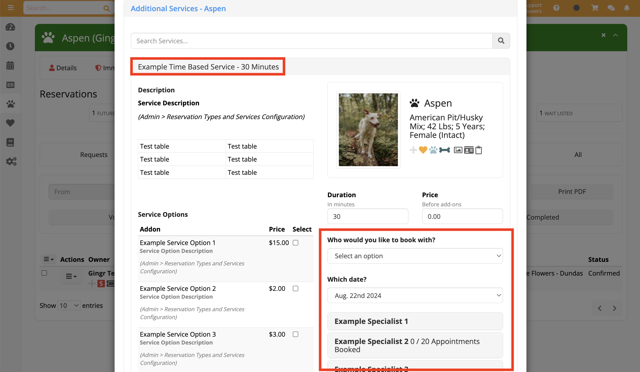 Service booking interface with options