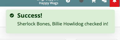 Success message: check-in confirmed.