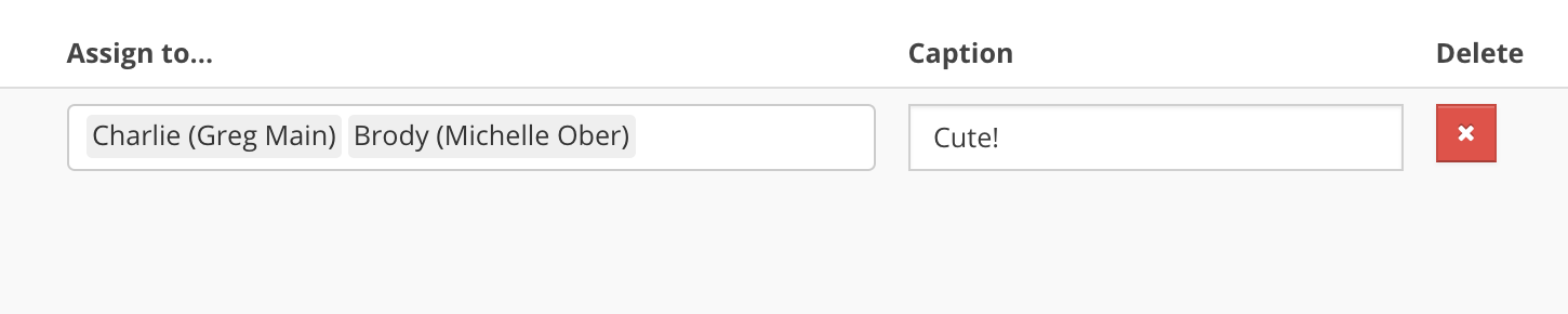 Assign To Field with Caption Added