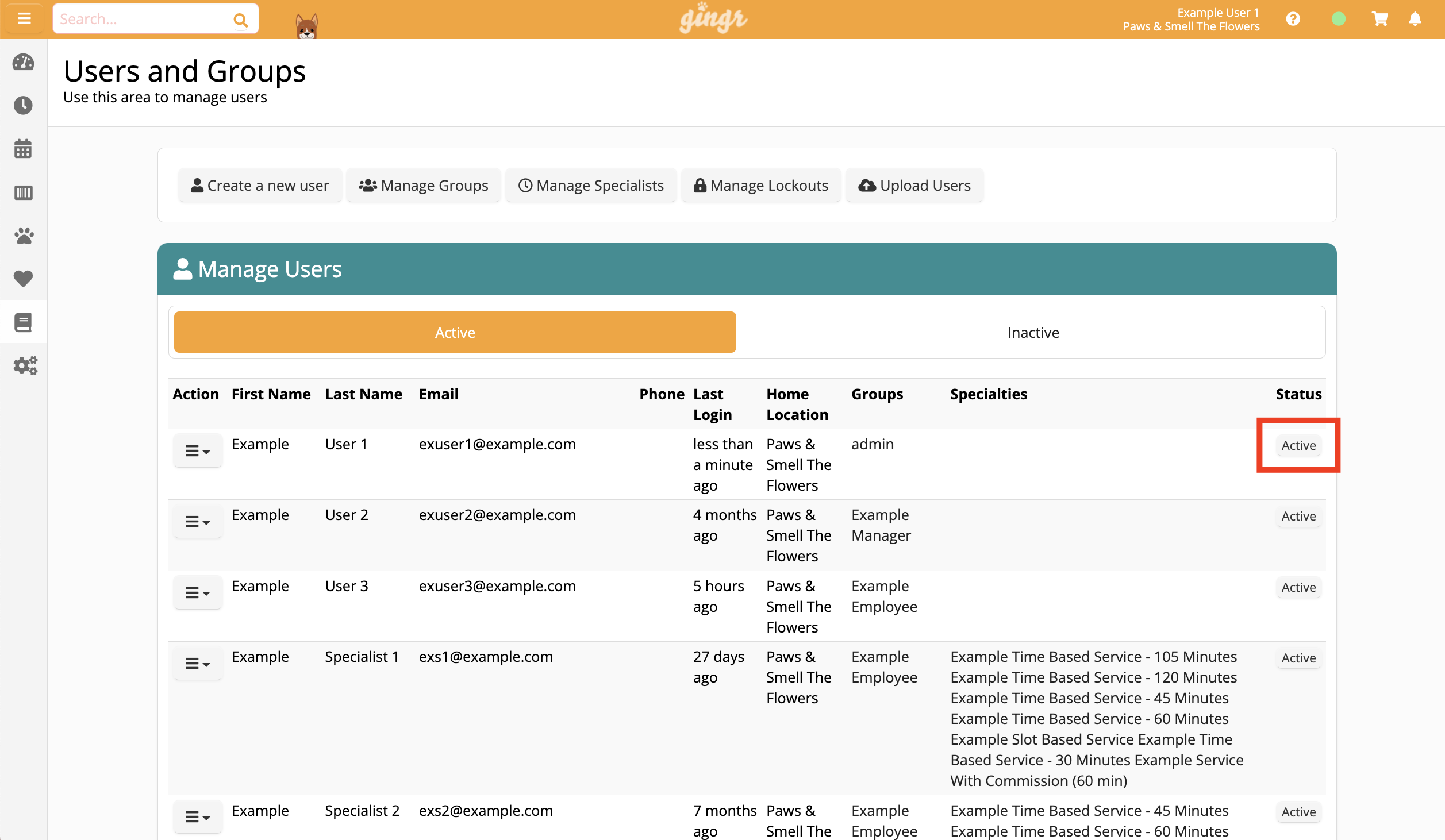 User management dashboard interface