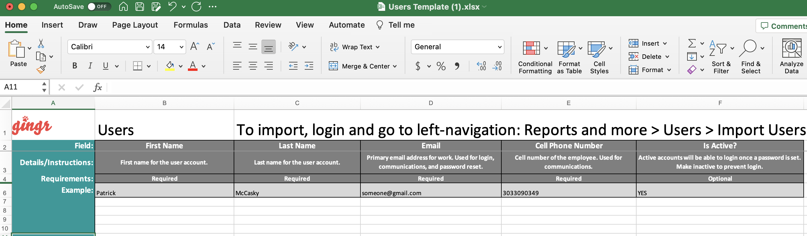 Spreadsheet template for user data import.