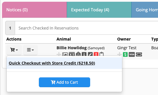 Checkout option with store credit popup.