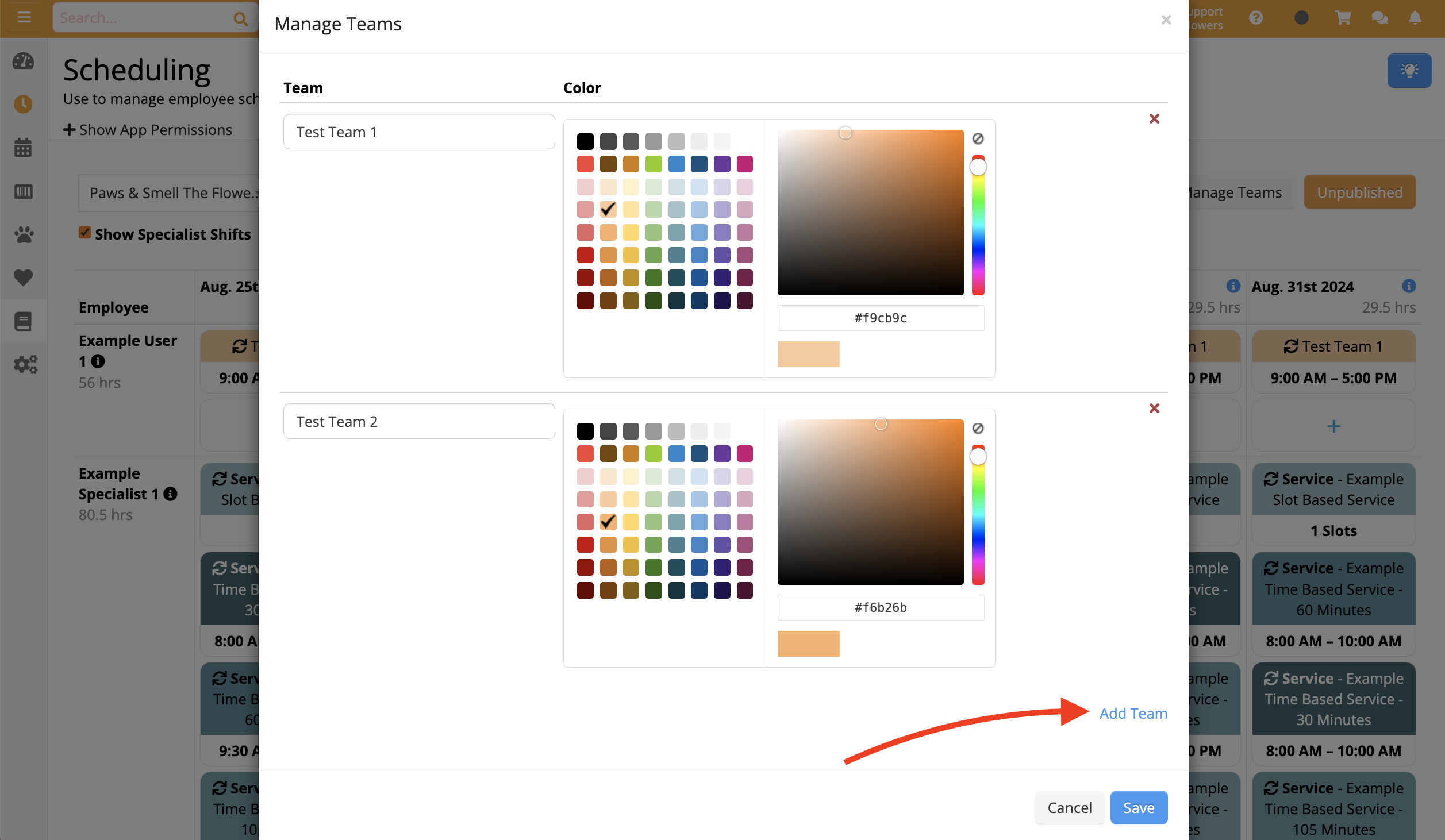 Team management interface with color options.