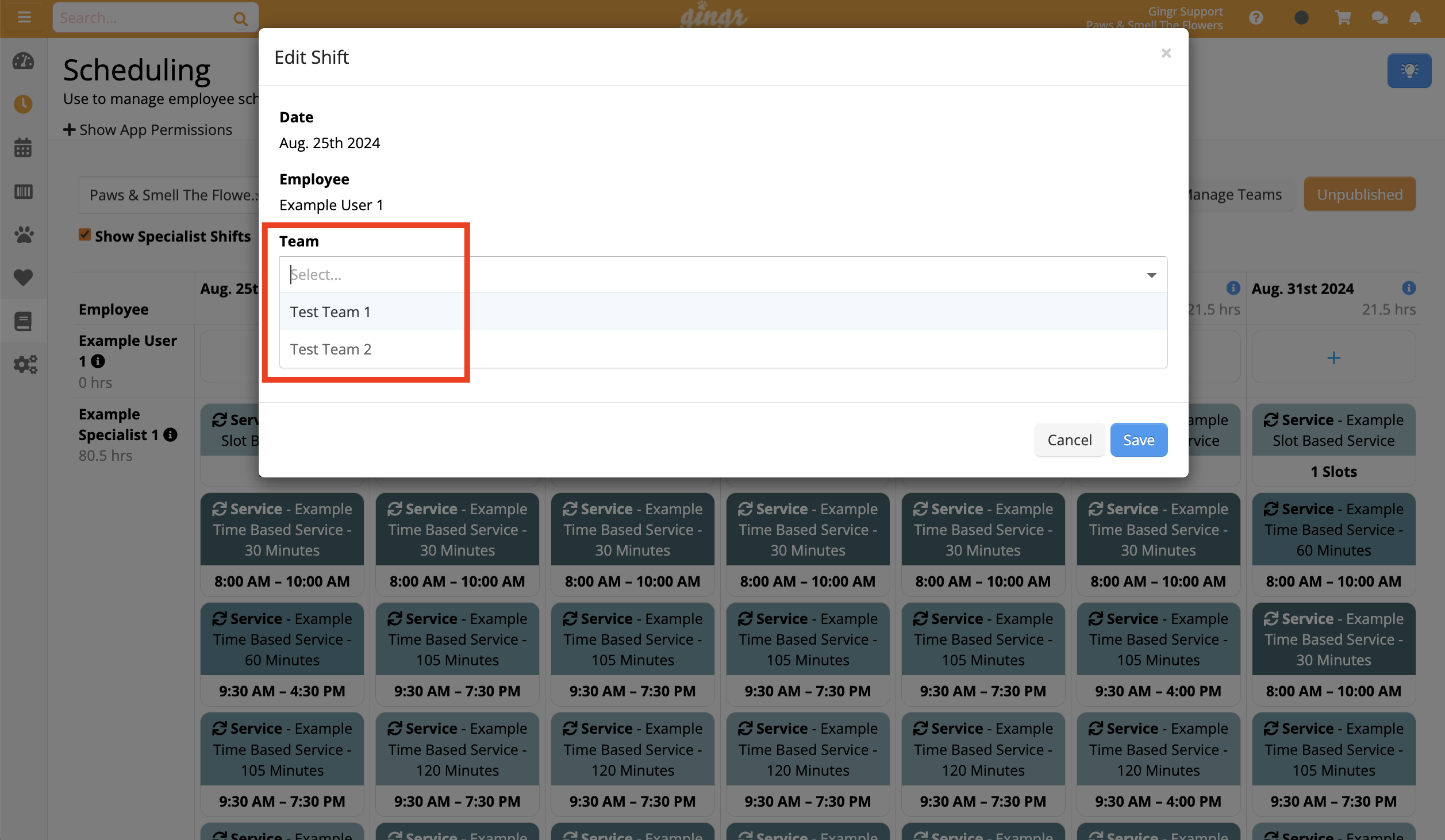 Edit Shift window with team selection dropdown.