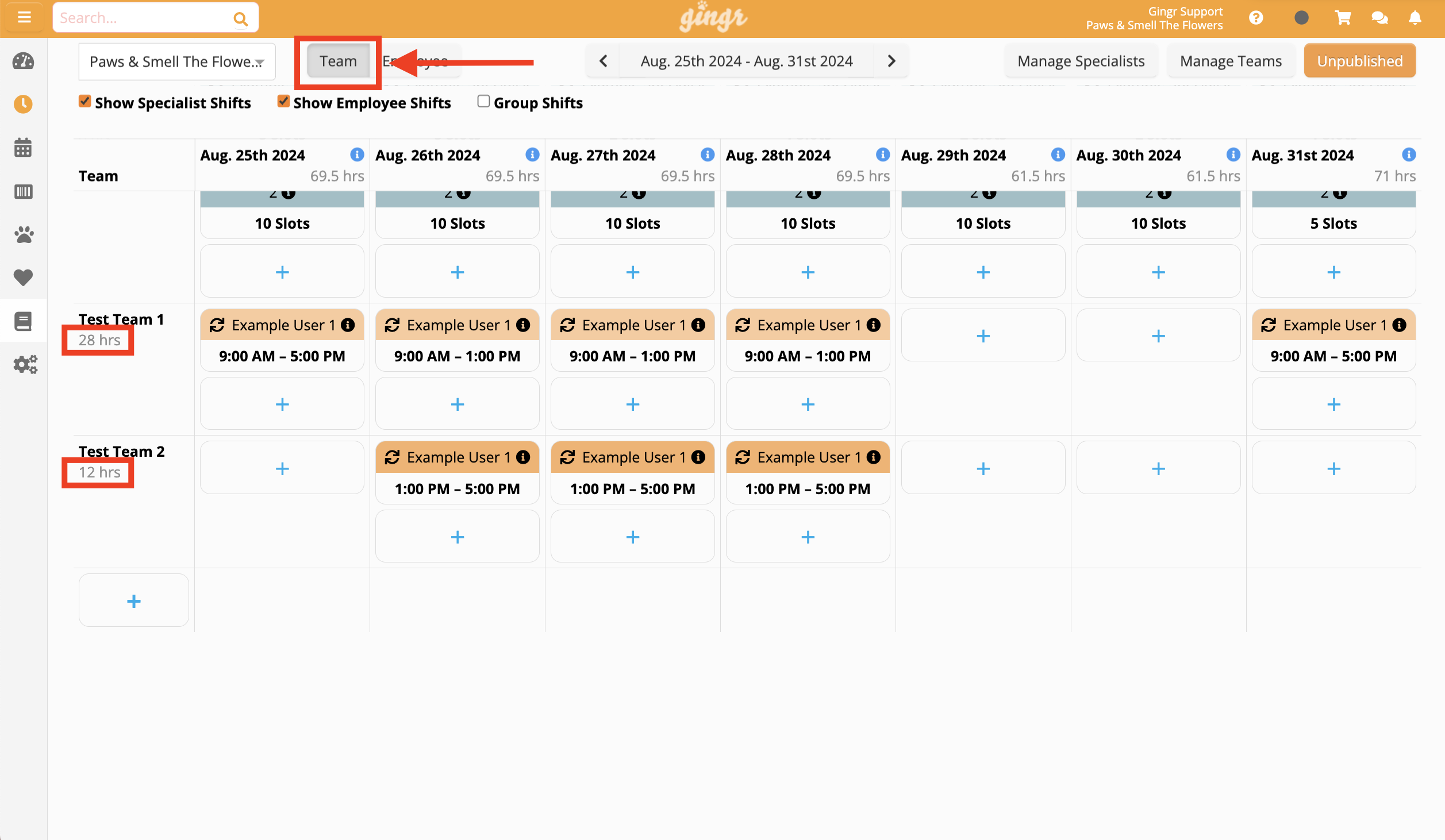 Team schedule with shifts and hours