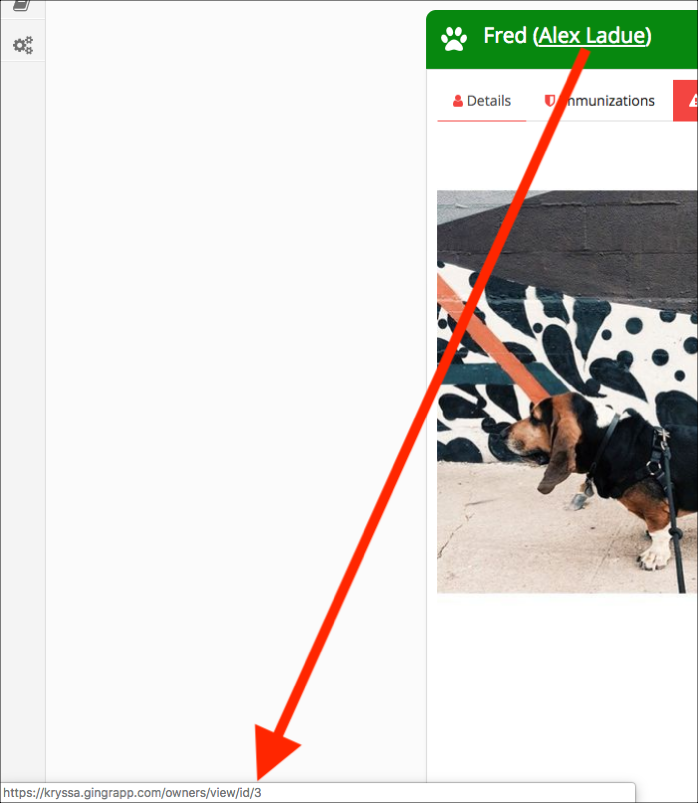 Basset hound on a leash by a mural wall.