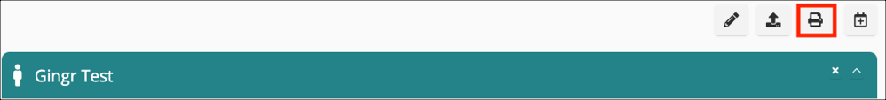 Toolbar with icons and text 'Gingr Test'