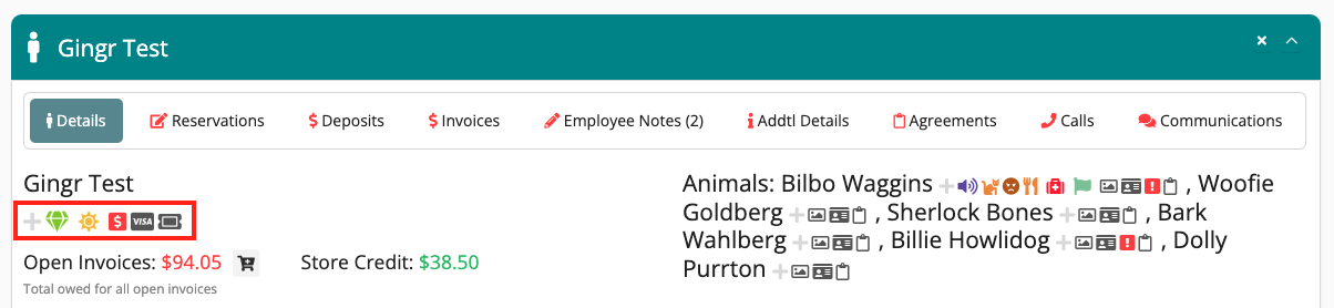 Dashboard with invoice and credit details.