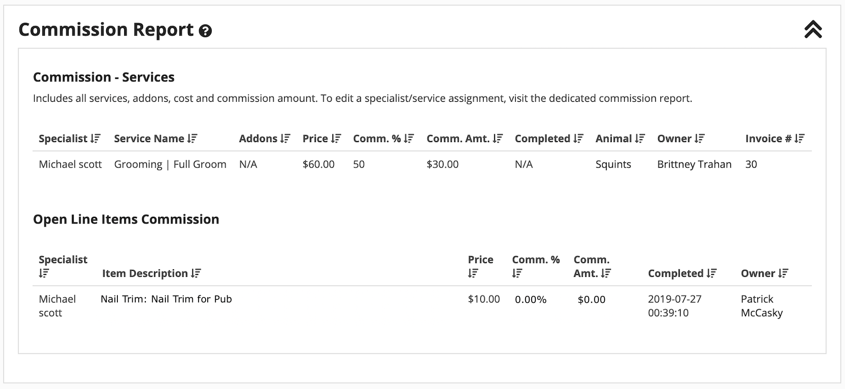 Commission report with service details
