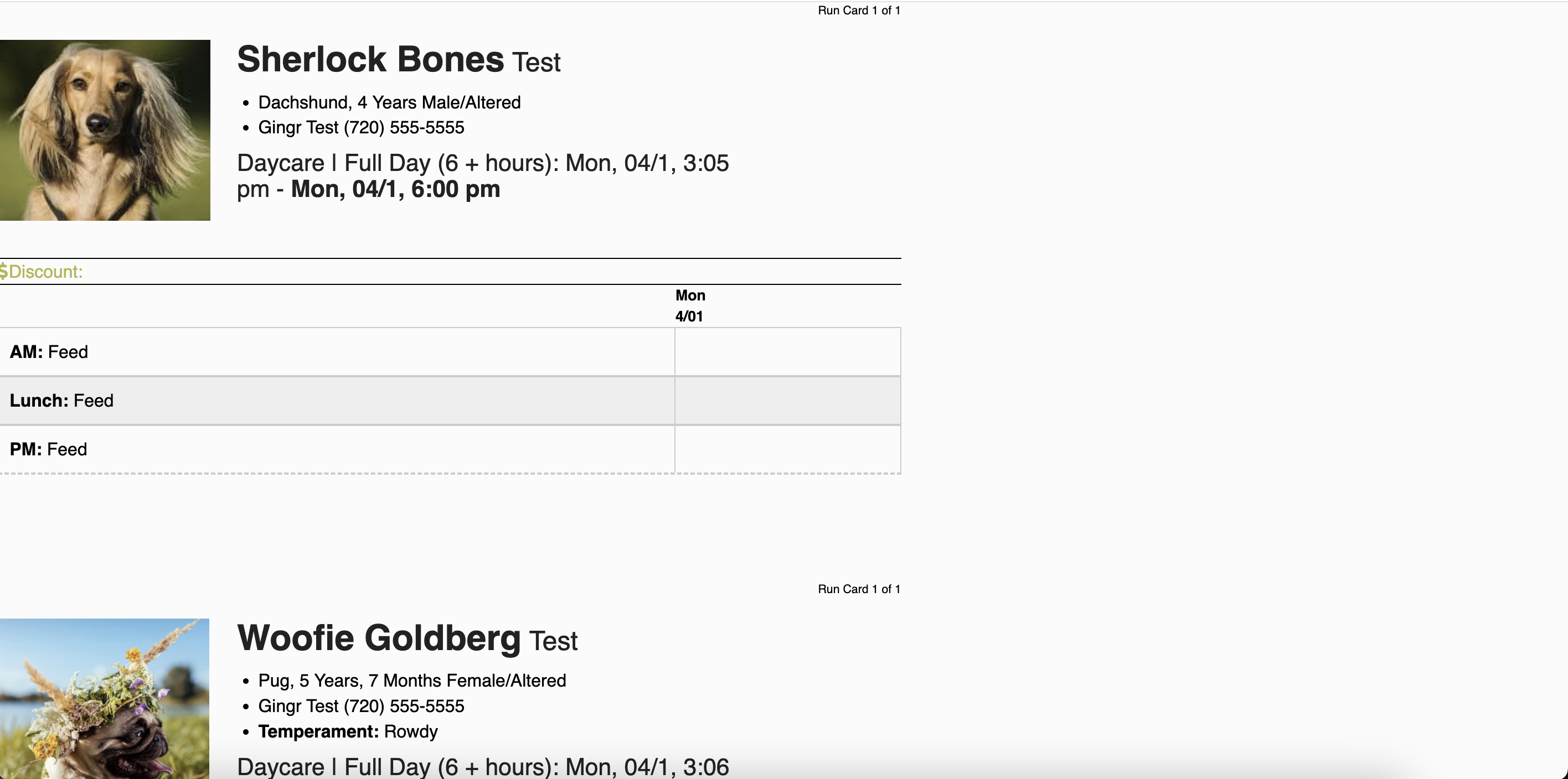 Dog daycare schedule and feeding times.