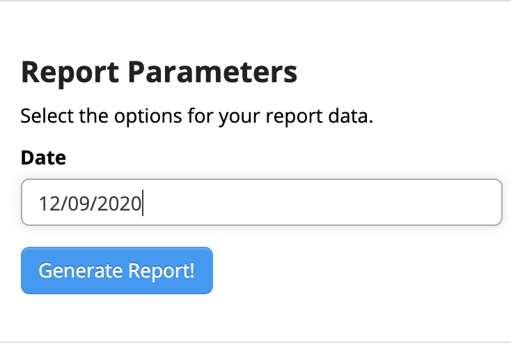 Report parameters with date input field.