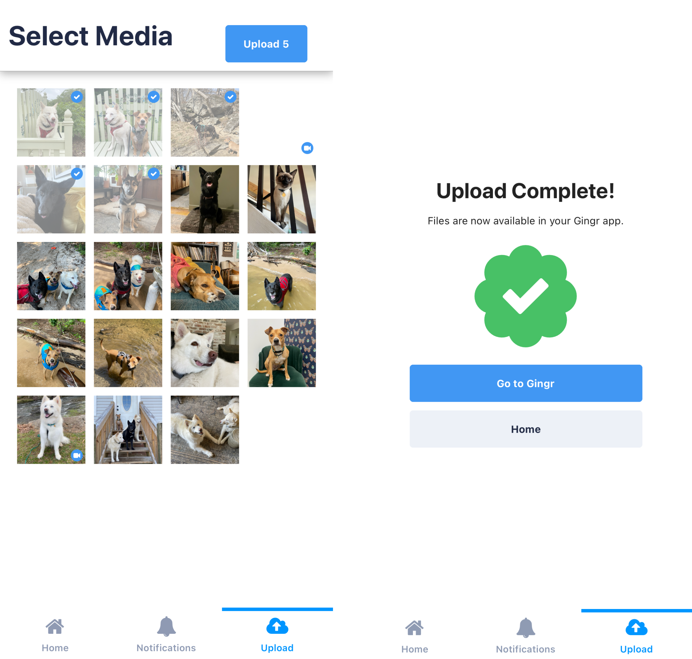 Media upload complete confirmation screen.