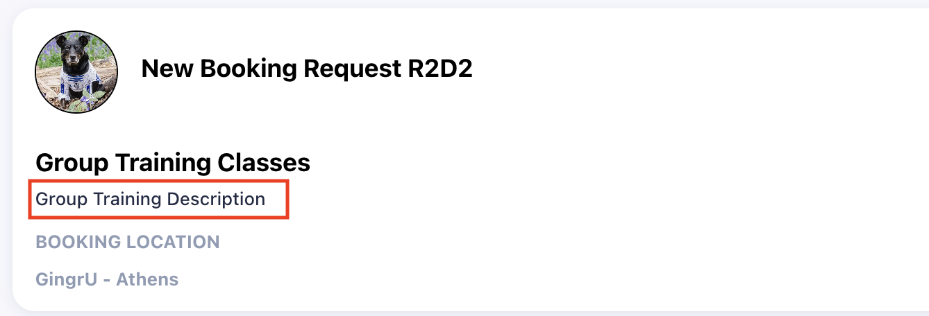 Screenshot 2025-09-03 at 12.13.54 PM.png